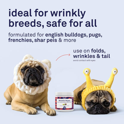 Bulldog being cleaned with Petpost wrinkle wipes