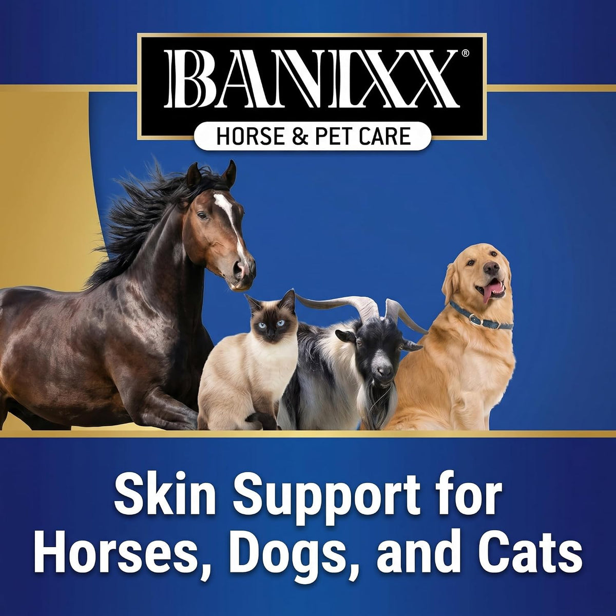 Banixx 8 fluid ounce pet care spray label close up