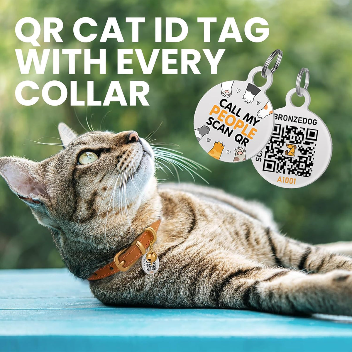 BronzeDog genuine leather cat collar with removable safety bell