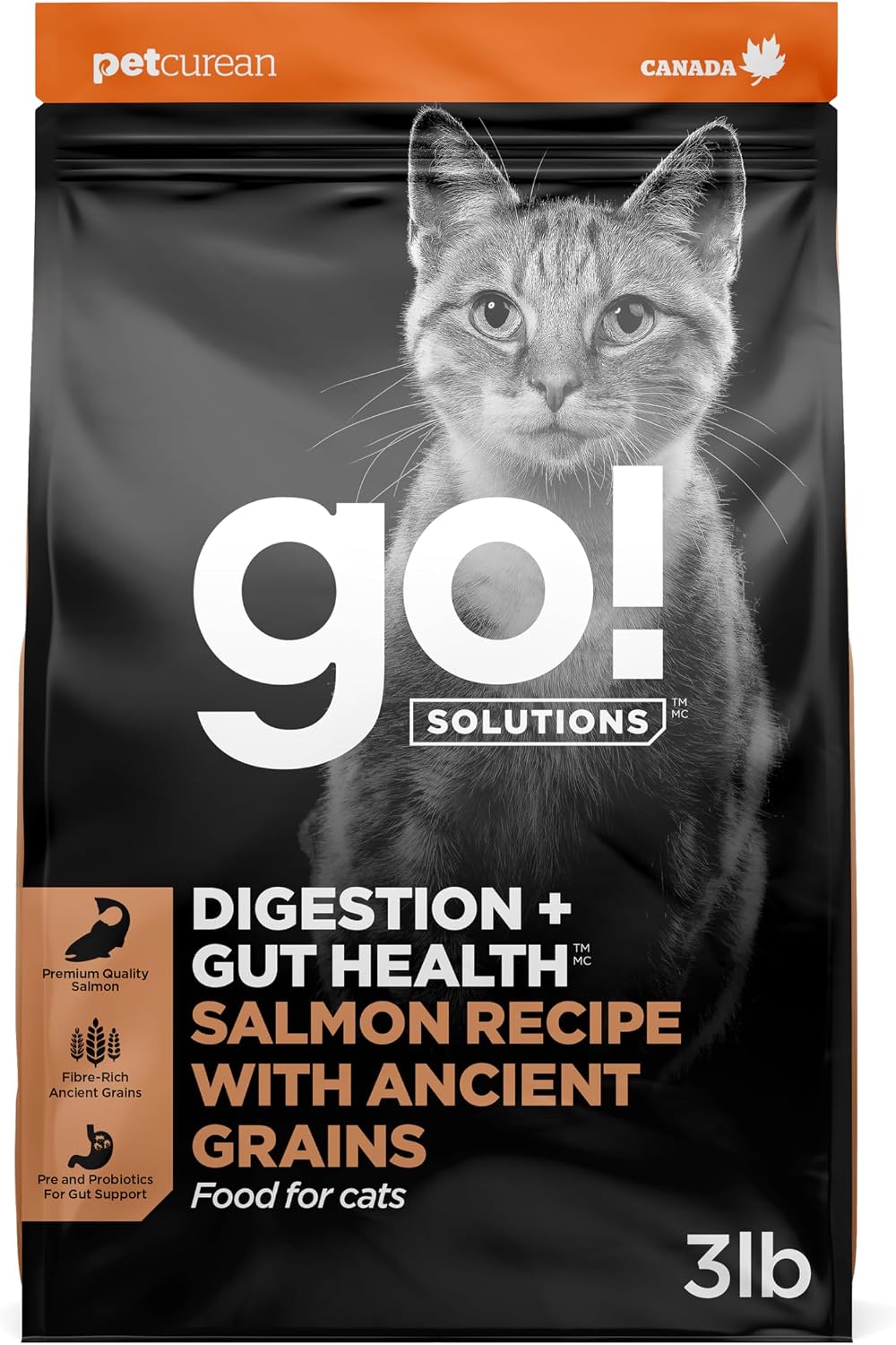 Go! Solutions Digestion + Gut Health Chicken Dry Cat Food, 6 lb | Fiber-Rich Kibble for Gastrointestinal & Digestive Wellness, Supports Sensitive Stomachs, For Kittens, Adults & Seniors - Image 15