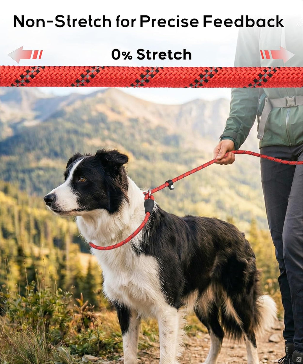 TagME climbing rope slip lead lifestyle shot for medium breeds