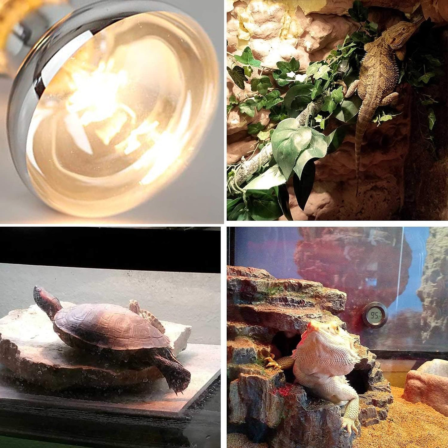 MIXJOY reptile basking lamp bulb providing necessary warmth for bearded dragons and turtles