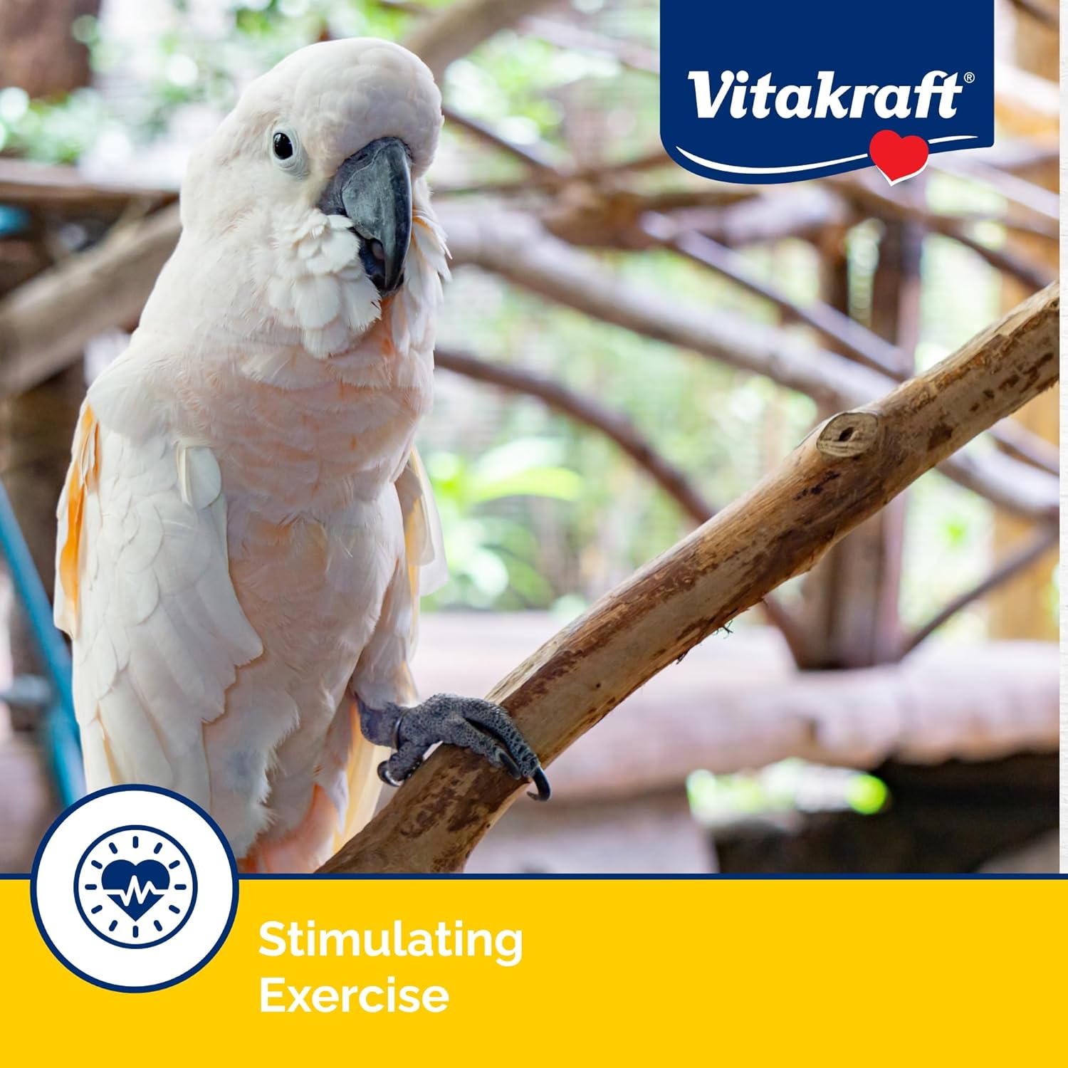 Vitakraft bird treat stick with included cage clip holder