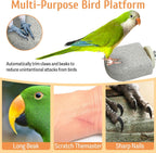 PINVNBY 4 PCS Bird Perch Stands Parrot Calcium Perch Beak Grinding Stone Foot Claws Trimmer Parakeet Platform Parrot Chewing Toys for Small Medium Cockatiel Conure Lovebird Finch - Image 5