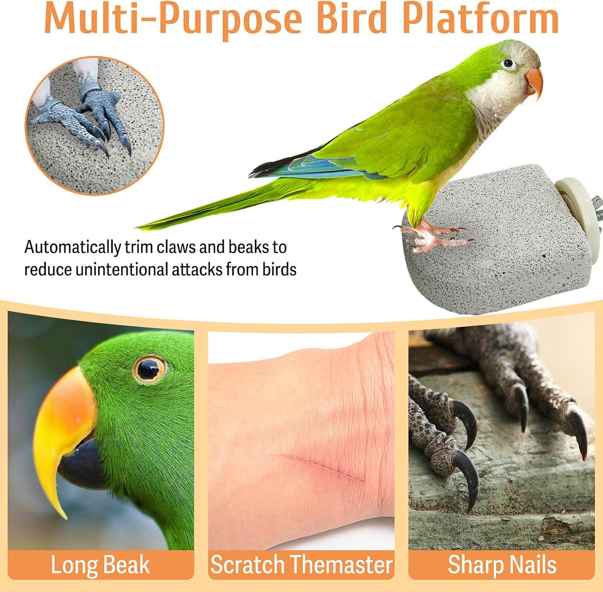 PINVNBY 4 PCS Bird Perch Stands Parrot Calcium Perch Beak Grinding Stone Foot Claws Trimmer Parakeet Platform Parrot Chewing Toys for Small Medium Cockatiel Conure Lovebird Finch - Image 5