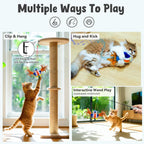 Zeepet touch activated motion sensor cat toy with universal serial bus charging cable.