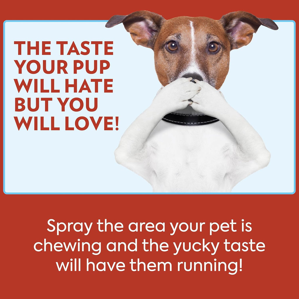 Application of Out! PetCare deterrent on household furniture
