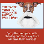 Application of Out! PetCare deterrent on household furniture