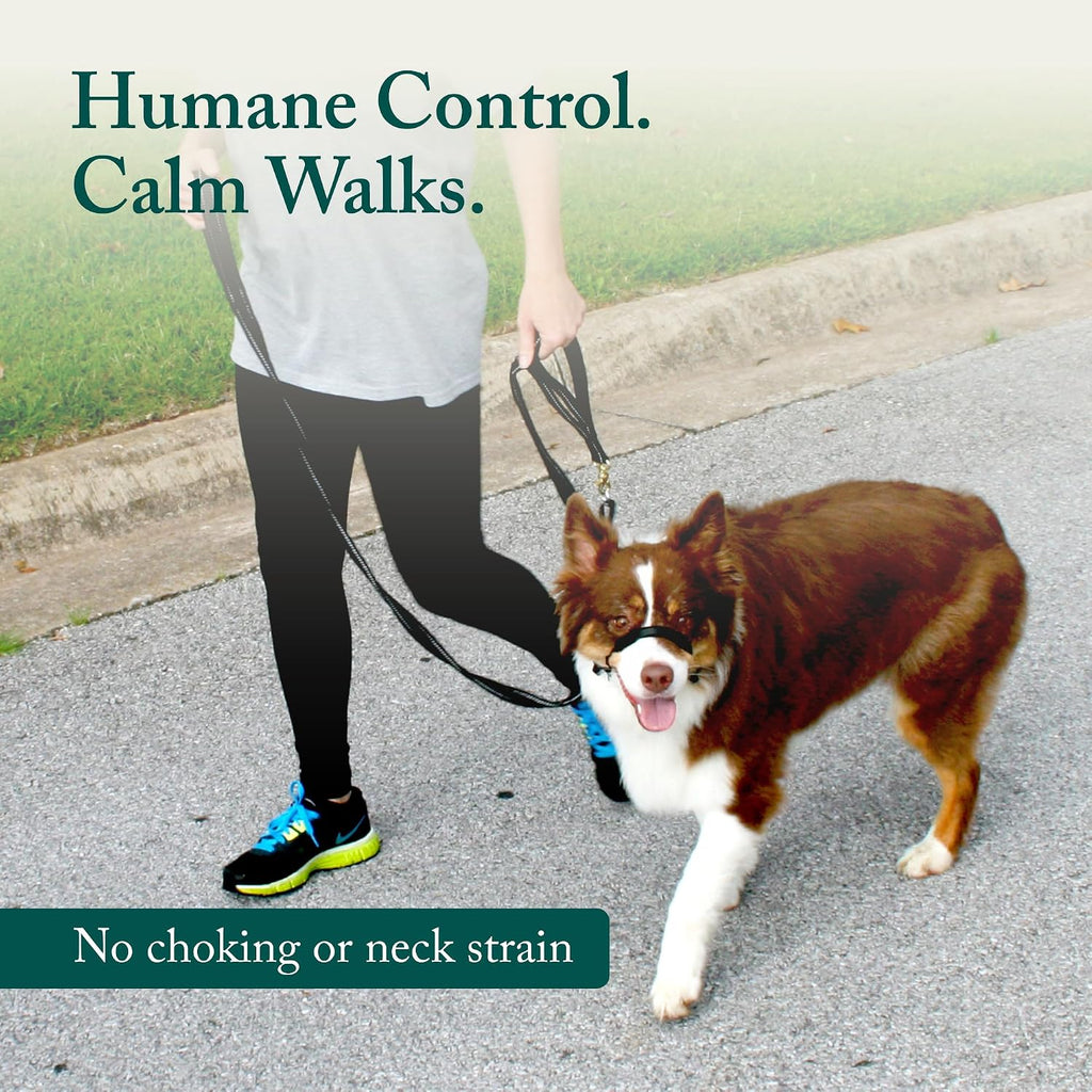 Sporn no pull dog training collar padded nose strap detail