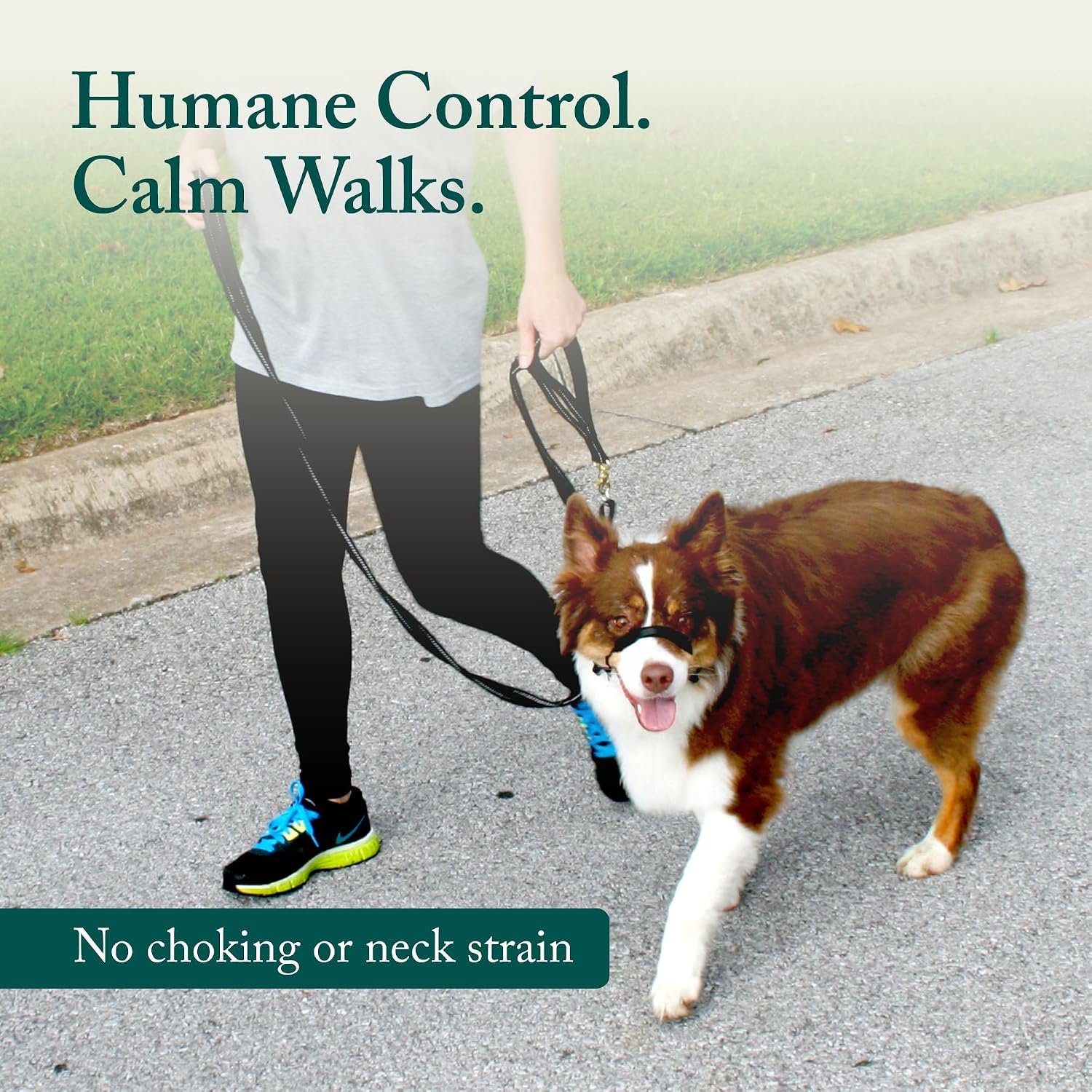 Sporn no pull dog training collar padded nose strap detail