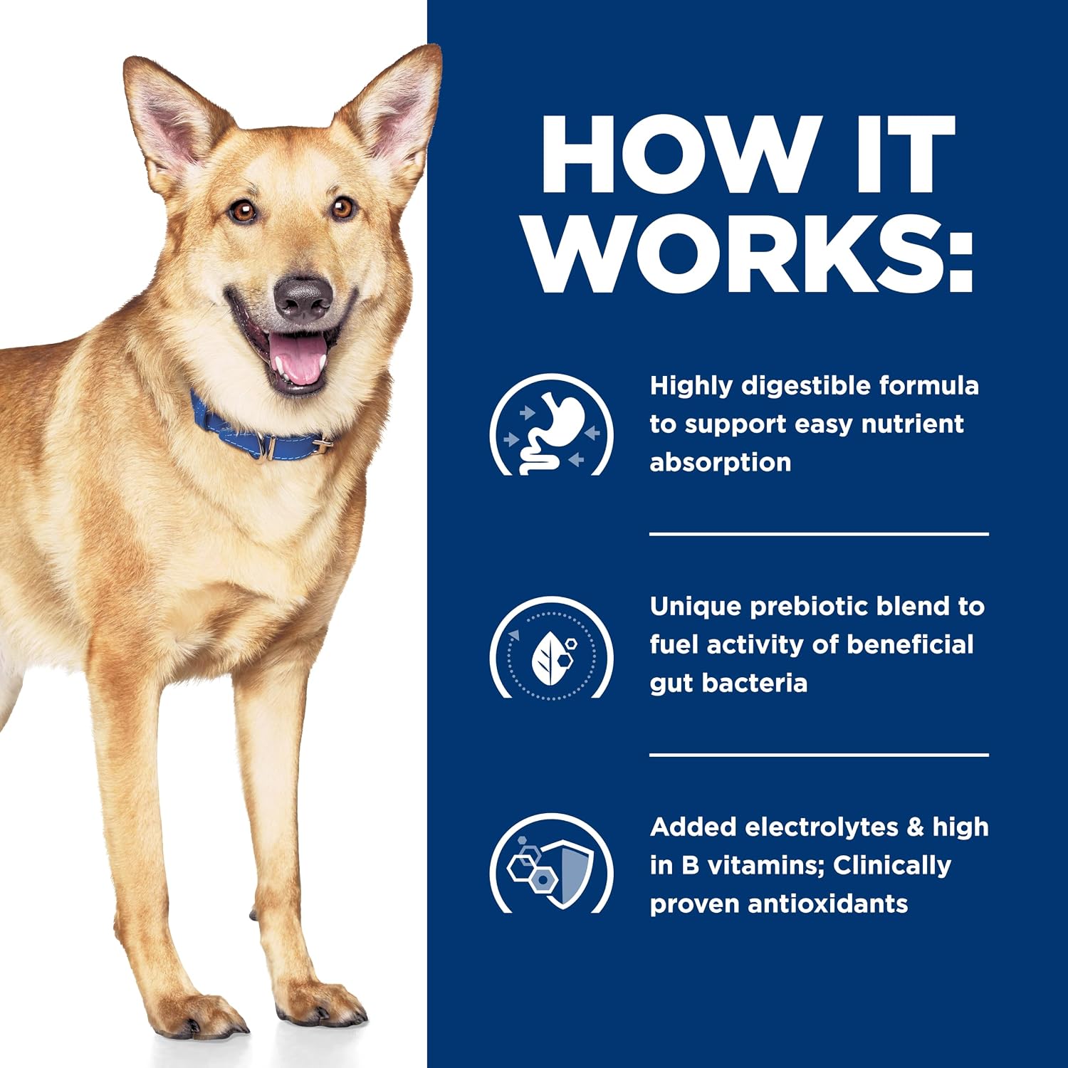 Hill's Prescription Diet canine turkey recipe can with ActivBiome tech icon