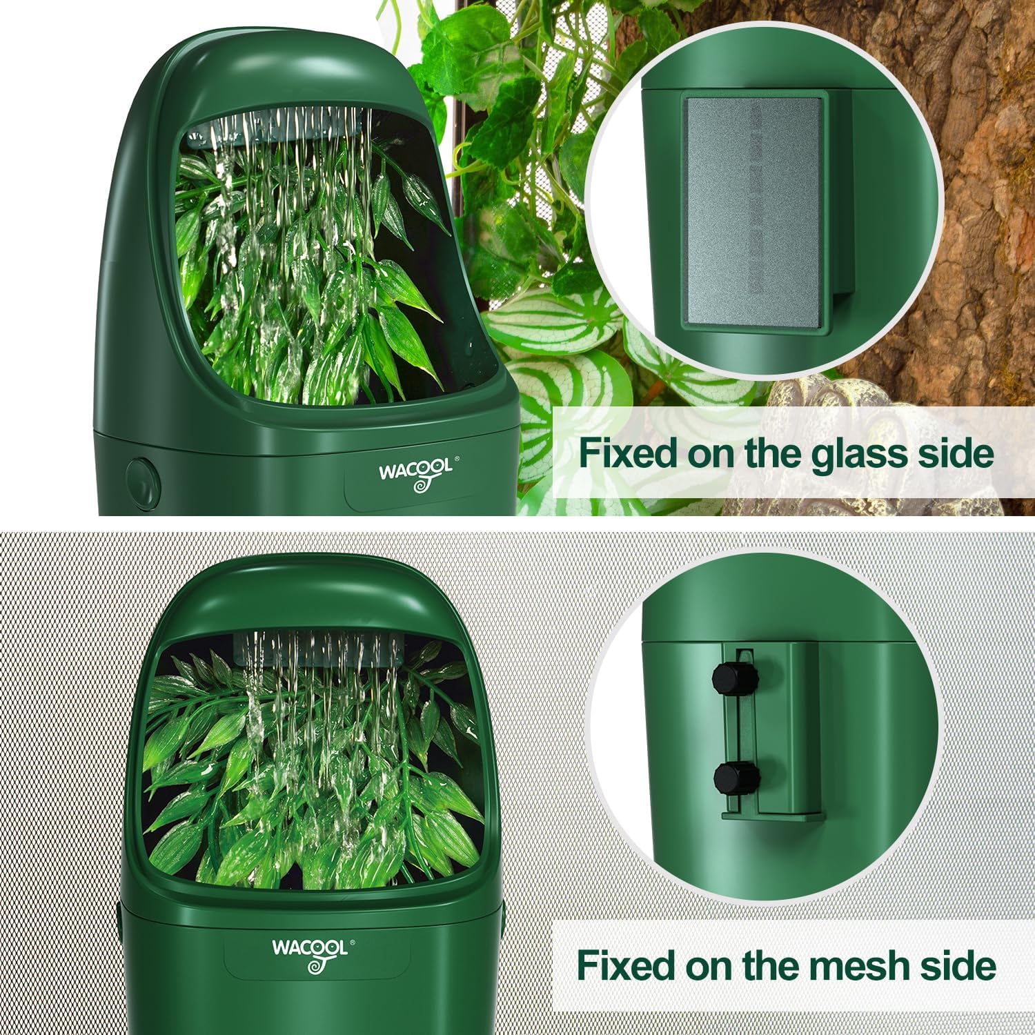 Wacool Terra lizard water dispenser in retail packaging