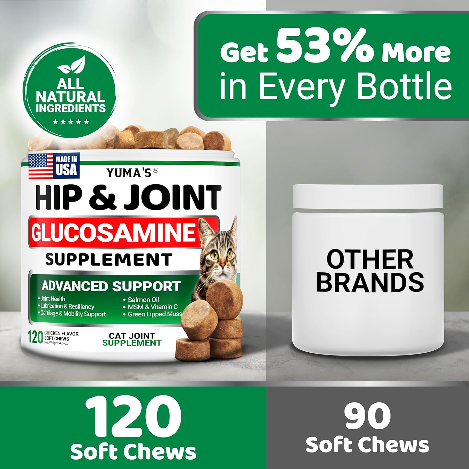 Yuma's cat health supplement bottle next to a bowl of treats
