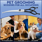 Full view of the authentic USA imported Dragon Creek pet grooming shears.