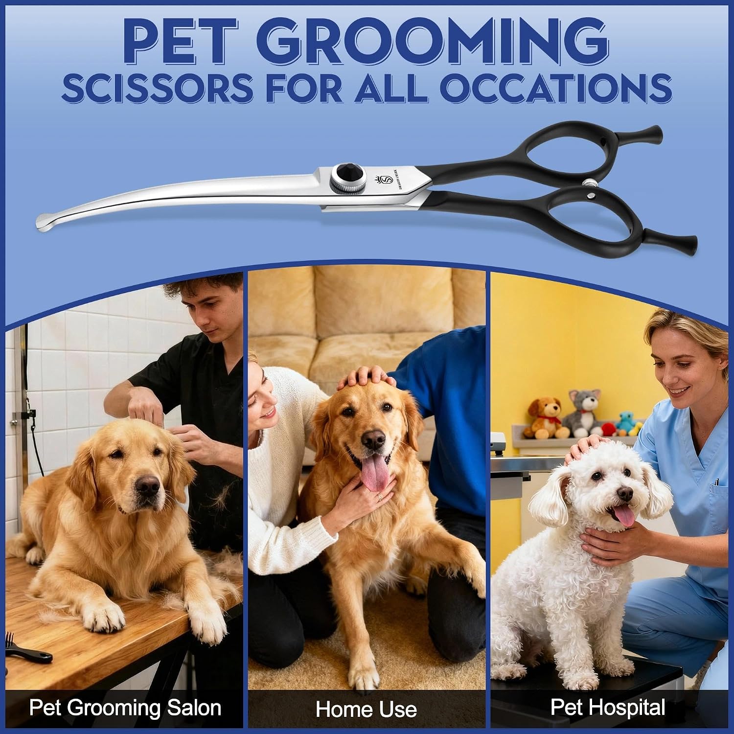 Full view of the authentic USA imported Dragon Creek pet grooming shears.