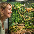 Hercocci plastic jungle plants for geckos