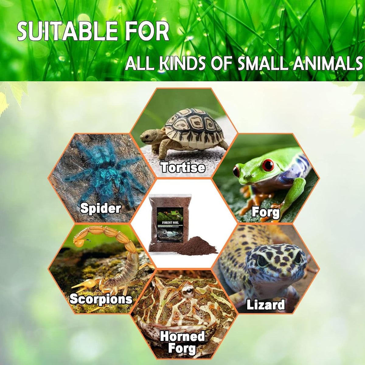 Bnosdm reptile soil package back view instructions
