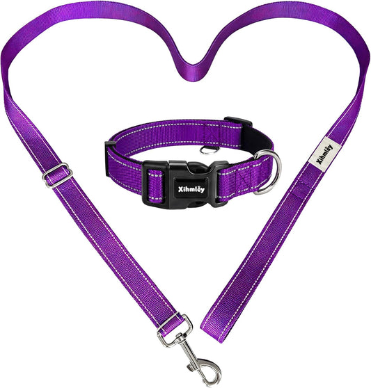 Xihmley purple pet leash and collar set front view