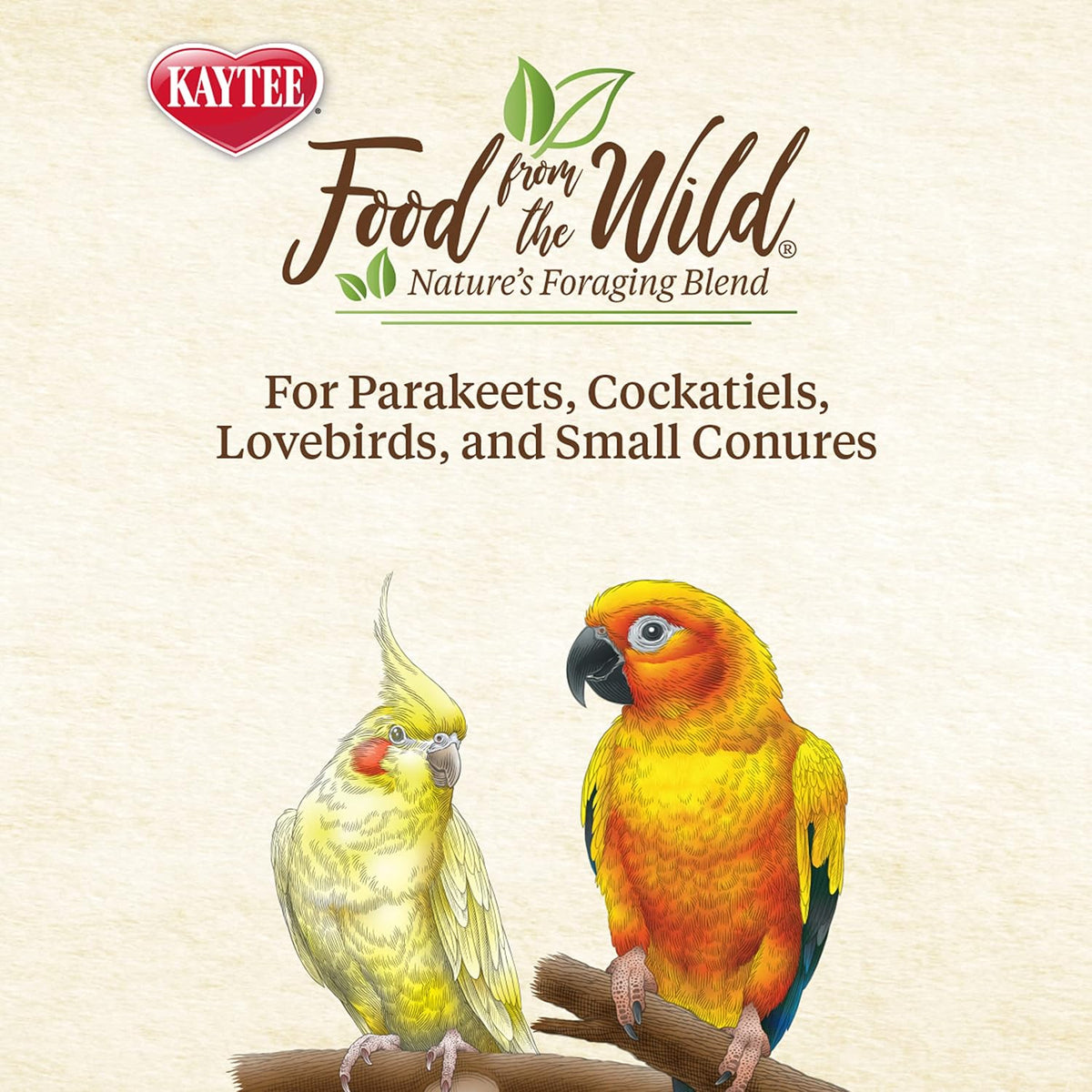 Parakeet interacting with Kaytee Food From The Wild treat bowl