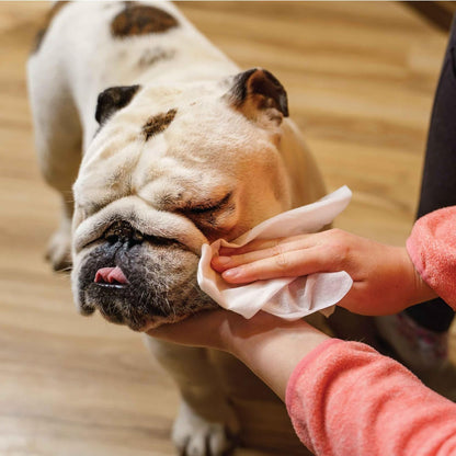 110 Pack Pet Grooming Wipes - Large & Extra-Large Sizes - Lavender, Aloe, & Unscented Variations - Hypoallergenic & Extra Durable - Perfect for Dogs & Cats, 6"x8" - Image 9