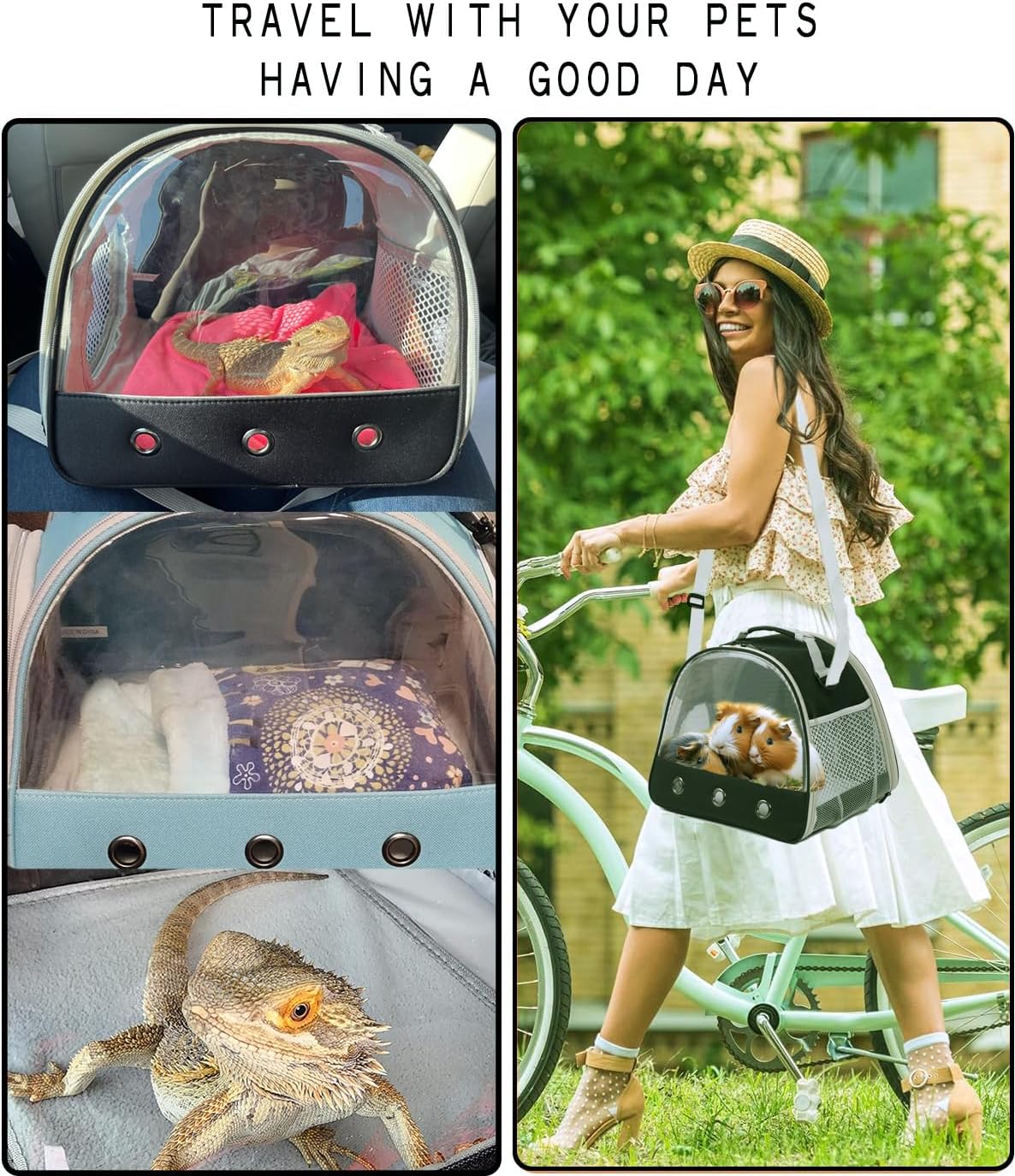 WEVONIGU outdoor travel carrier in use with small reptile