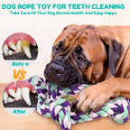 Loncoldy natural cotton dog toy showing mint green, purple, and white braided strands.