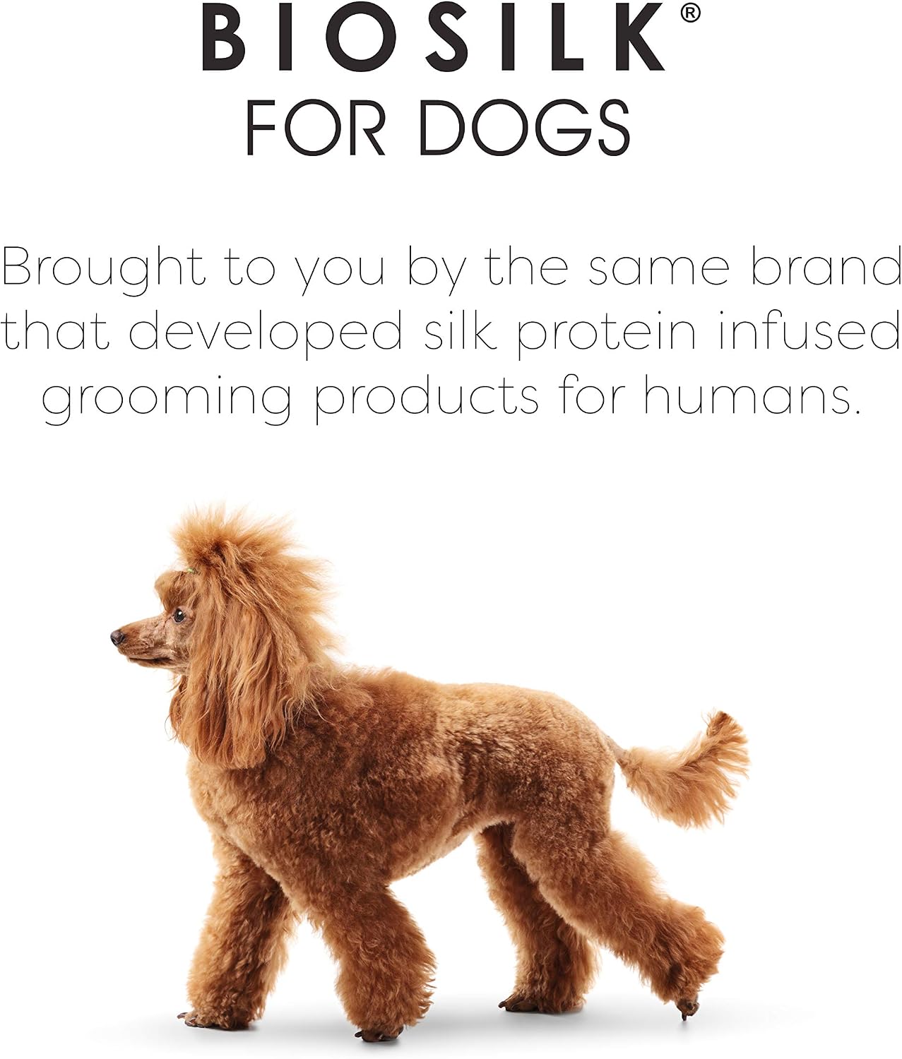 BioSilk for Pets Eco Friendly Detangling Pin Brush for Dogs, Gentle Dog Grooming Brush Designed to Help Remove Knots and Tangles and Support Healthy Coats for All Dogs - Image 9