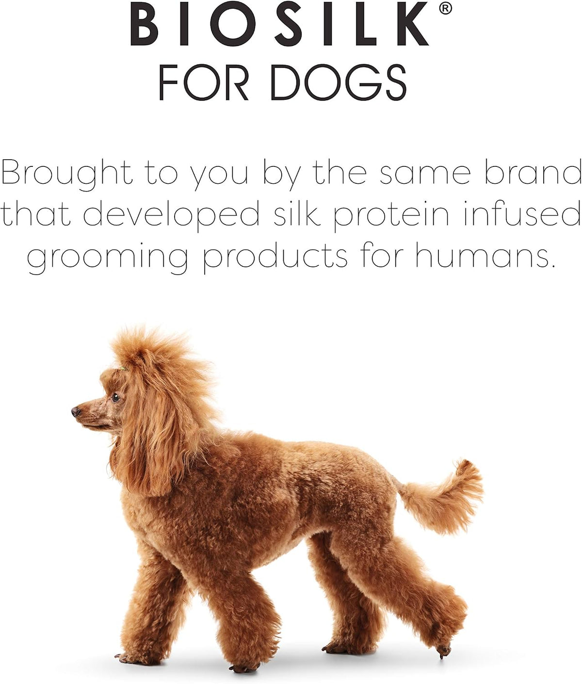 BioSilk for Pets Eco Friendly Detangling Pin Brush for Dogs, Gentle Dog Grooming Brush Designed to Help Remove Knots and Tangles and Support Healthy Coats for All Dogs - Image 9