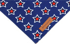 Realeaf triangle pet bandana flat view displaying the authentic brown leather logo tag.