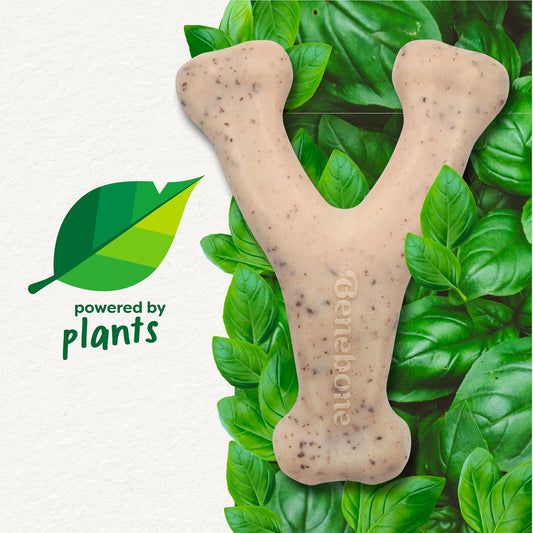 Dog Bones for Modest Chewers: Benebone Green Plant-Based Real Bacon Wishbone Dog Chew Toy for Medium Dogs, Made in USA - Image 2