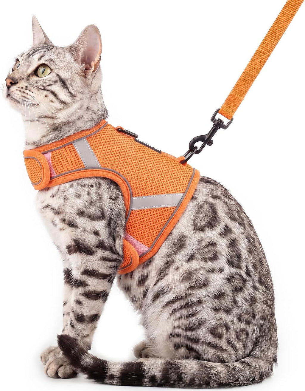 Cat Harness and Leash Set Escape Proof Kitten Harness No-Head-Pull Cat Vest Cat Leash for Walking Travel, Grey, X-Large - Image 11