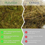 Hydrated Halatool sphagnum moss showing fluffiness and texture