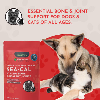Animal Essentials Sea-Cal - Pure Seaweed Calcium Powder for Dogs with Magnesium, Joint Supplement for Dogs & Cats for Healthy Bones & Teeth, Joint Health, Vegan Icelandic Seaweed Calcium - 12 oz - Image 9