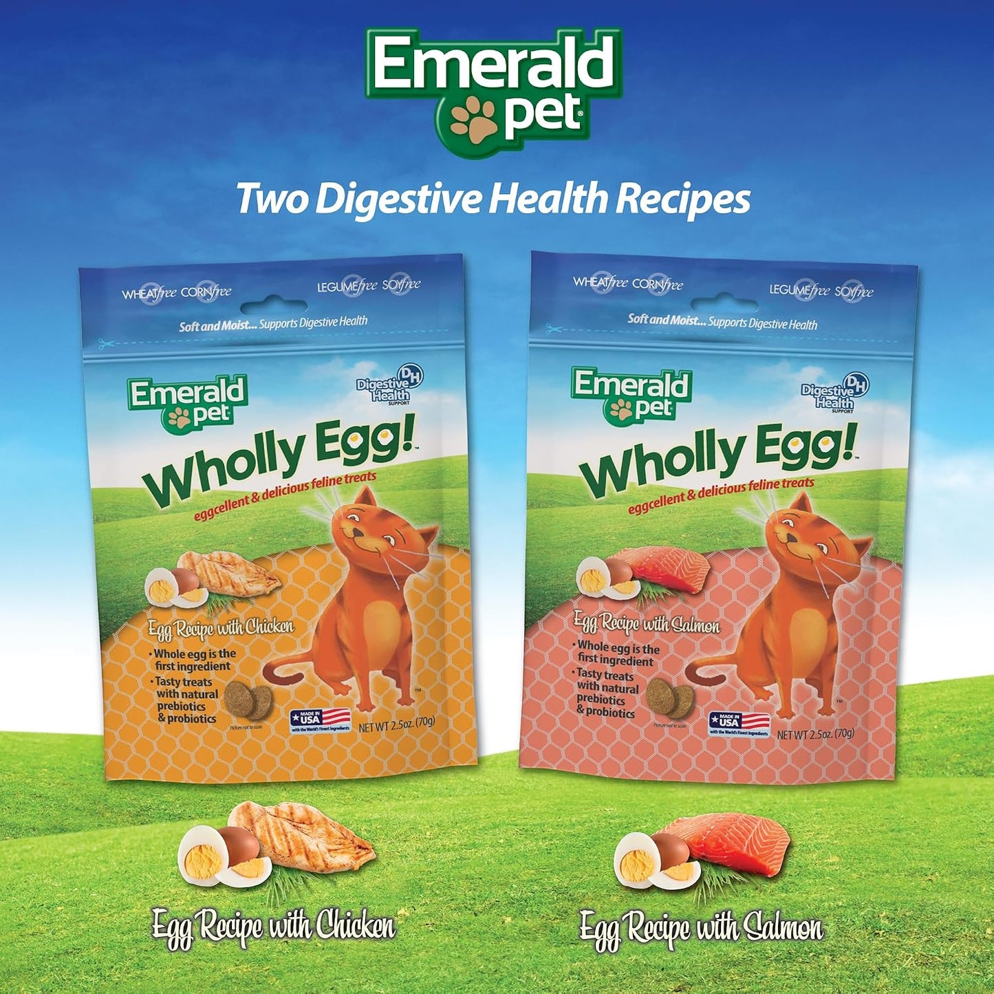 Emerald Pet 2.5 ounce chicken flavor digestive care cat snacks packaging
