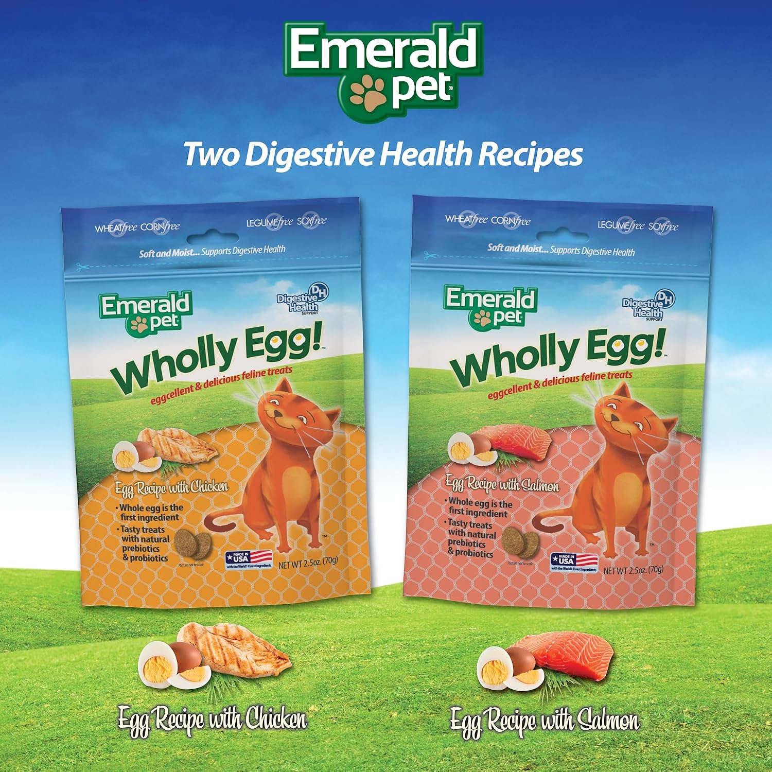 Emerald Pet 2.5 ounce chicken flavor digestive care cat snacks packaging