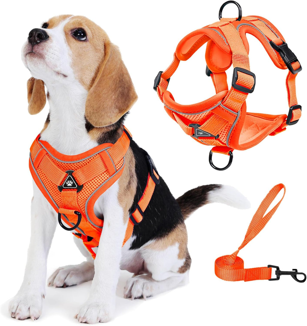 No Pull Dog Harness with Leash Set for Small Sized Dog, Reflective Adjustable No Choke Front Clip Cat Vest Harness with Breathable Mesh, Comfortable Soft Padded Pet Vest, Blue S - Image 11