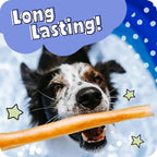 Pawstruck collagen braid next to a ruler showing 5 to 7 inch size