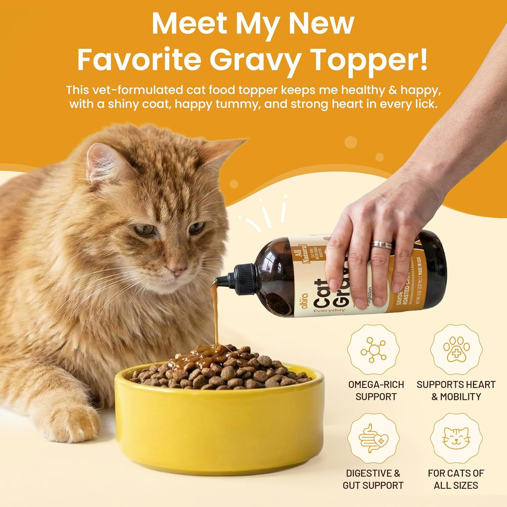 Cat eating dry food mixed with Altira Everyday Cat Gravy