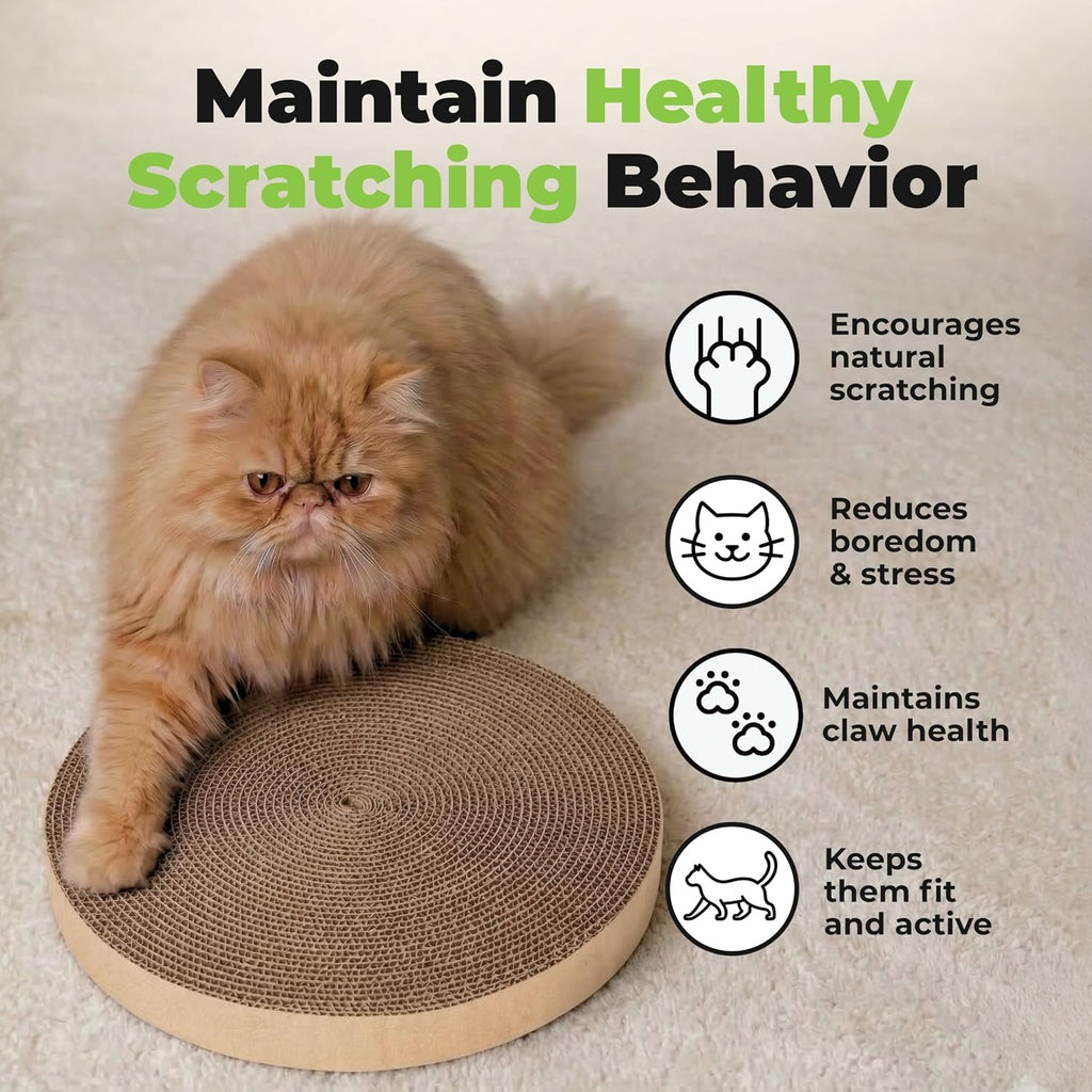 Catify Spin n' Scratch Cat Scratch Pad Refill - Round, 5-Pack - Image 6
