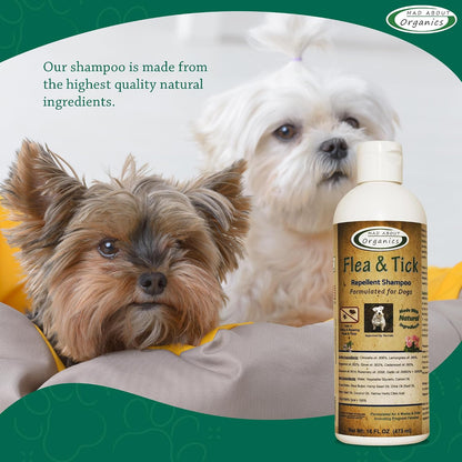 Premium imported USA flea bath solution for sensitive dog coats