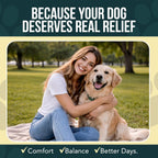 Yeast Infection Treatment for Dogs Drops (7 in 1 Formula) Soothes Itchy & Irritated Skin, Improves Skin and Coat, Dog Yeast Infection Treatment & Anti Yeast Drops for Dogs - Image 9