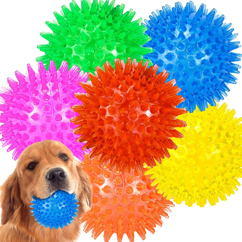 Set of four squeaky training balls for dogs