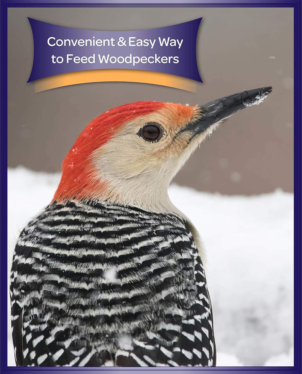 Side view of compressed Kaytee 11 Ounce woodpecker treat