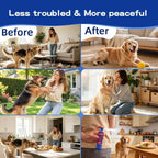 Pet owner using Ansjdh corrector spray to train a dog