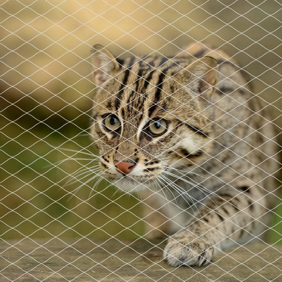 Jumxsrle cat netting for balcony safety front view