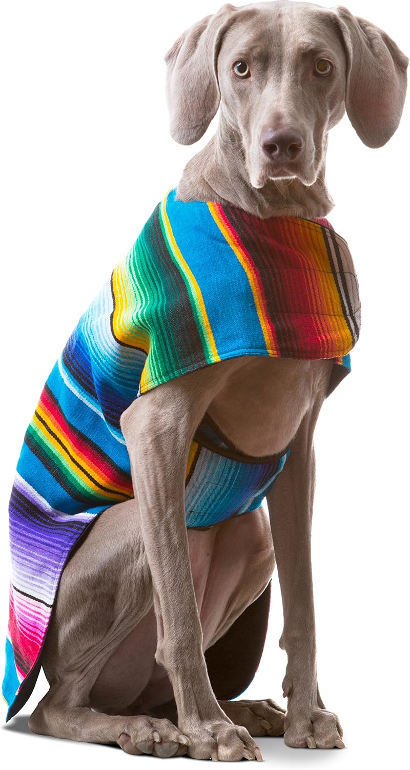 Dog Clothes - Handmade Dog Poncho from Authentic Mexican Blanket by Baja Ponchos (Blue, Small) - Image 12