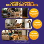 Using Aimseize pet corrector spray for training