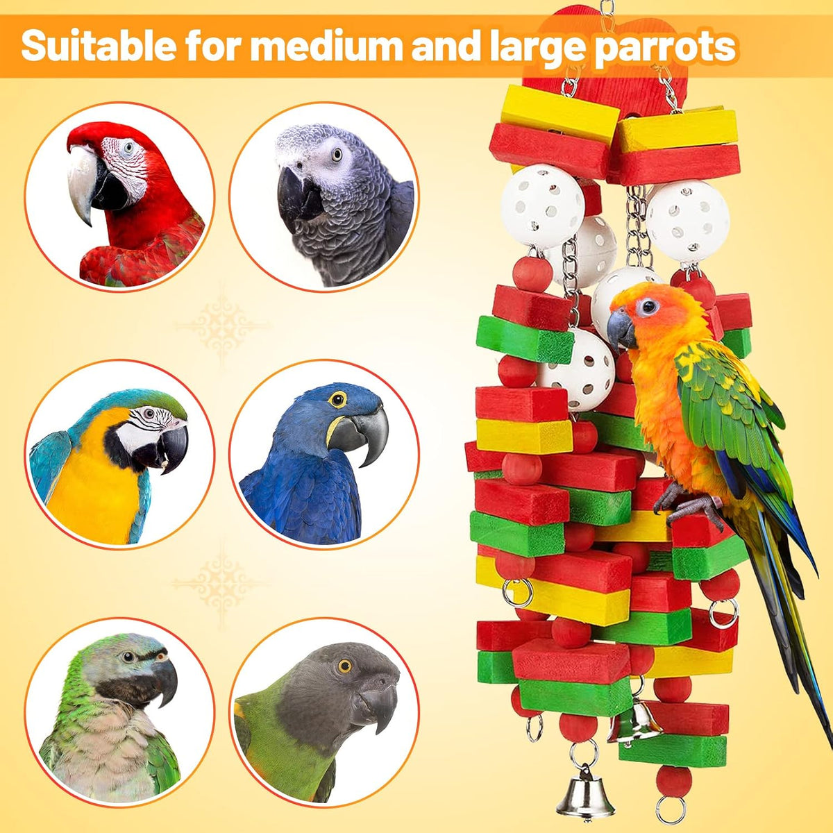 African Grey parrot playing with vibrant wooden block bird toy