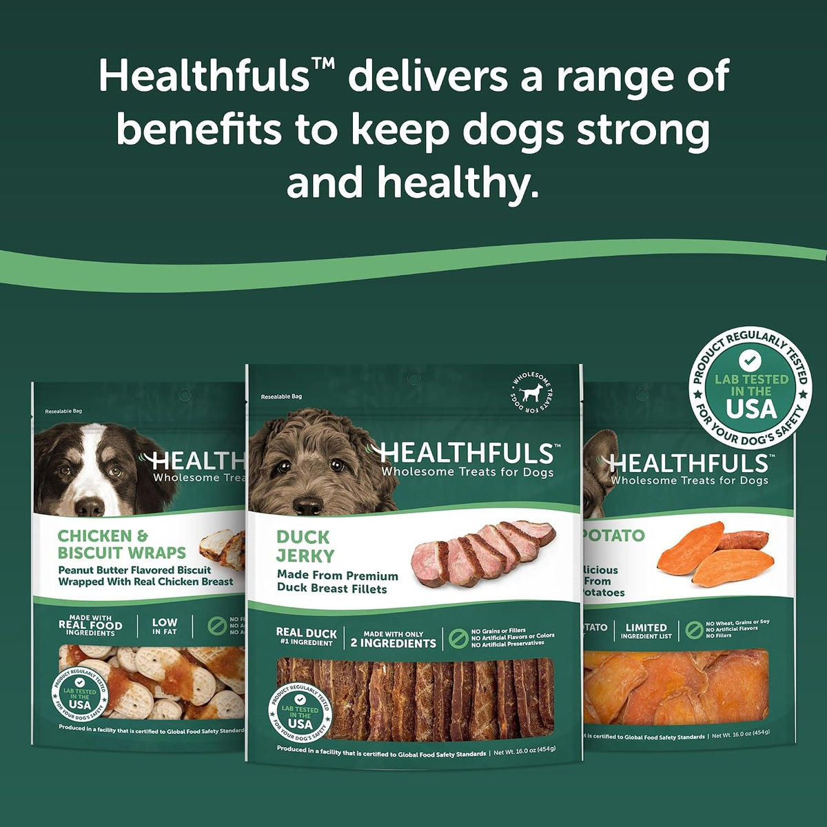 Healthfuls Duck Jerky Healthy Dog Treats - Grain Free, Real Duck Breast Fillets, No Fillers or Artificial Ingredients, All Life Stages - 16 ounces - Image 9