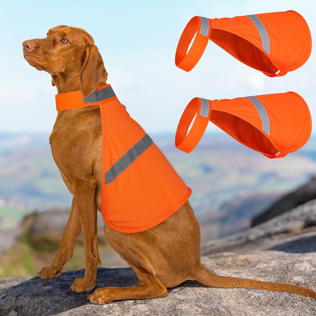 Vizbrite dog vest packaging showing size large details
